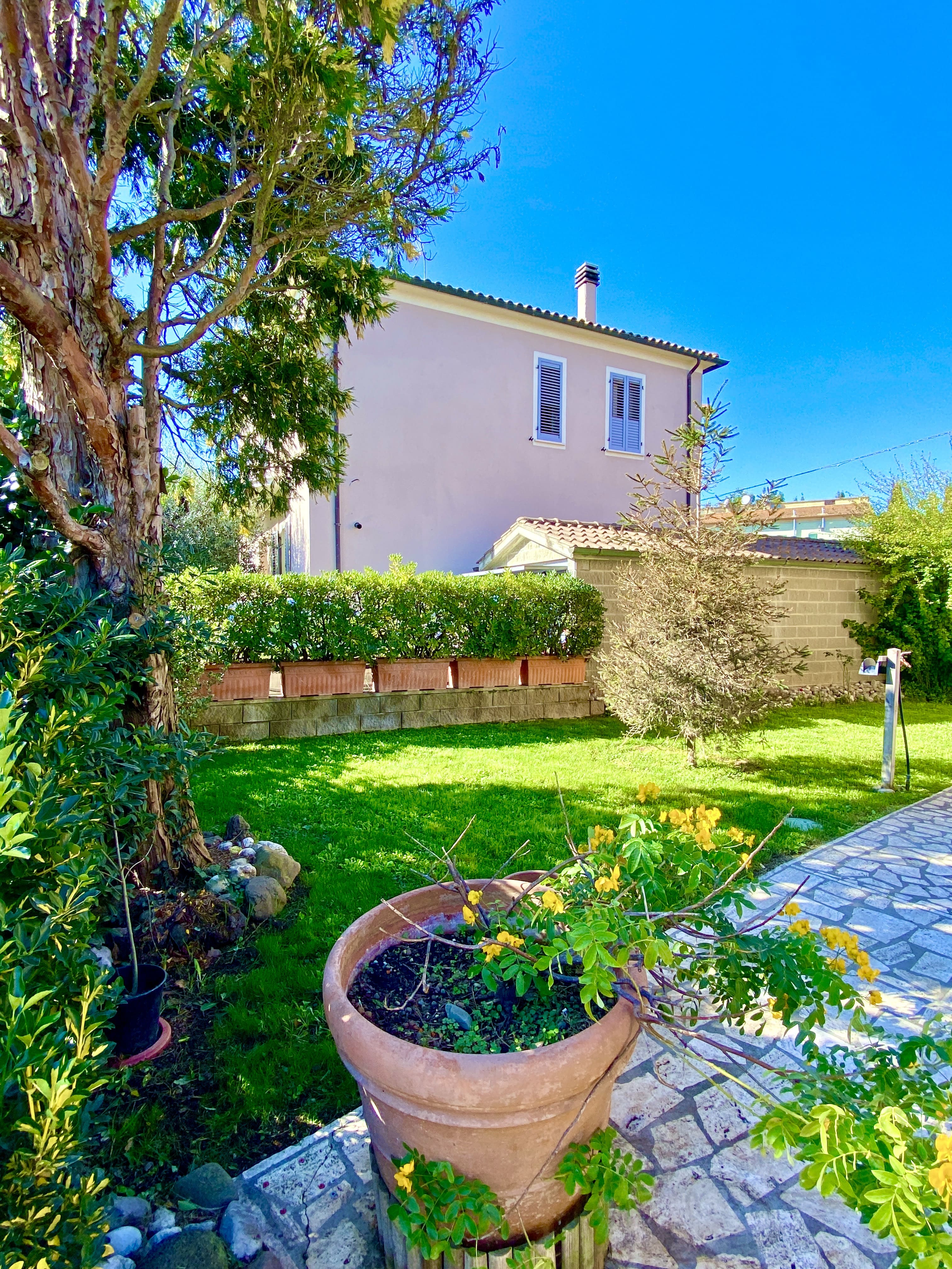 Private garden fully fenced